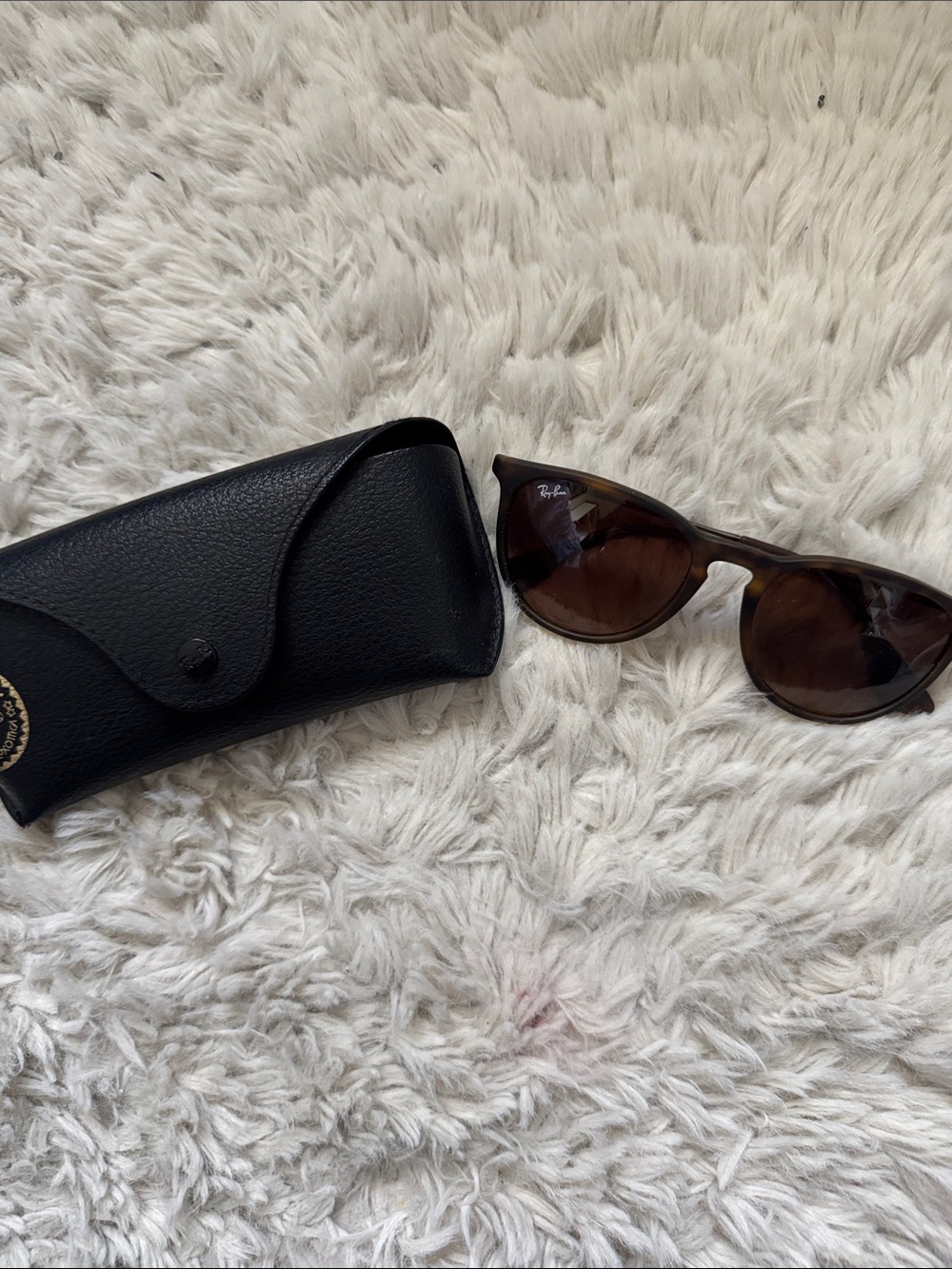 Ray-Ban Erika Tortoiseshell Sunglasses